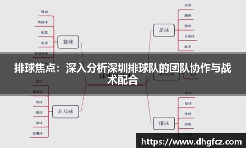 mk体育官网